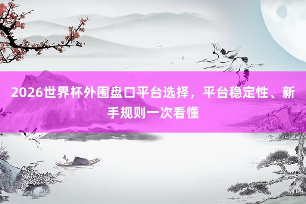2026世界杯外围盘口平台选择，平台稳定性、新手规则一次看懂