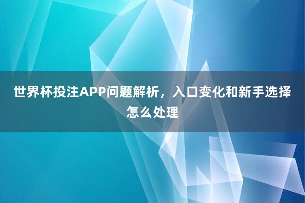 世界杯投注APP问题解析，入口变化和新手选择怎么处理