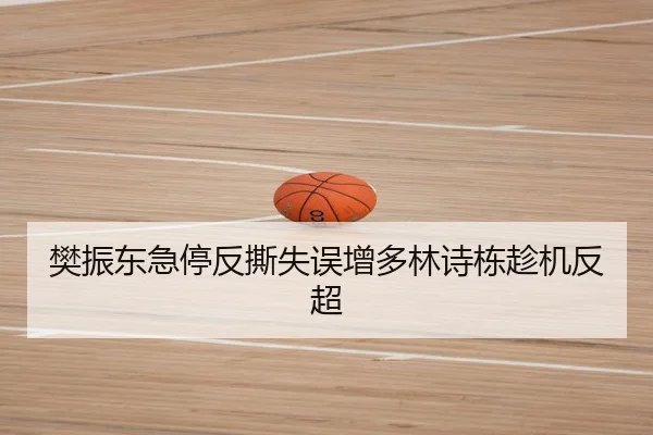 樊振东急停反撕失误增多林诗栋趁机反超